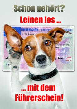 Poster " Schon gehört? Leinen los mit dem Führerschein"